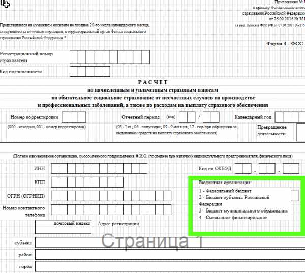 Приложение 13 фсс как заполнять