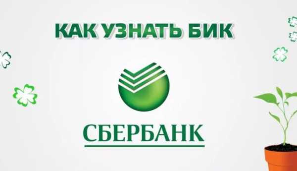 Код бик банка это – Что такое БИК банка — зачем он нужен и как его узнать - Агентство недвижимости БазЭл