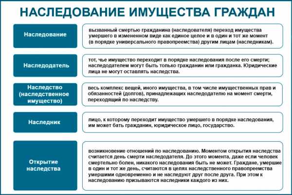 Меры поддержки многодетных семей в 2020 челябинской области